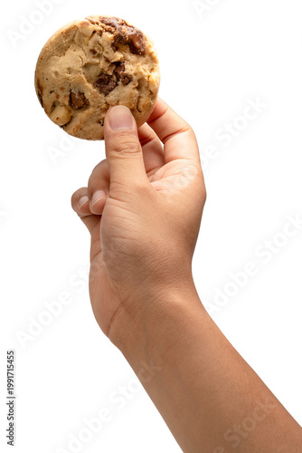 Hand holding chocolate chip cookie isolated on white background, Chocolate chip cookie isolated on white with work path.
