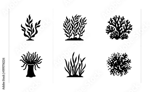 Black seaweed and coral silhouettes, set of 6 marine plant icons, underwater aquatic flora vector elements for ocean life design
