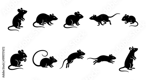Black mouse silhouette set, 10 rat vector icons in various poses, minimalist rodent animal silhouettes for pest control and wildlife design