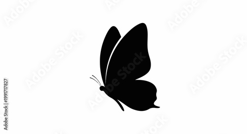 A black silhouette of a butterfly in profile view, with its wings open