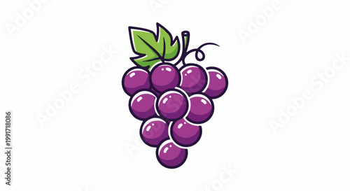 A bunch of ripe purple grapes with a green leaf and vine
