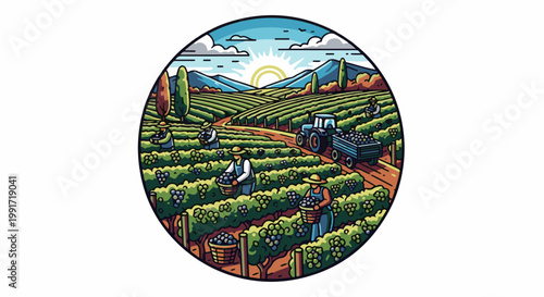 Vineyard workers harvesting grapes under a bright sun with mountains in background