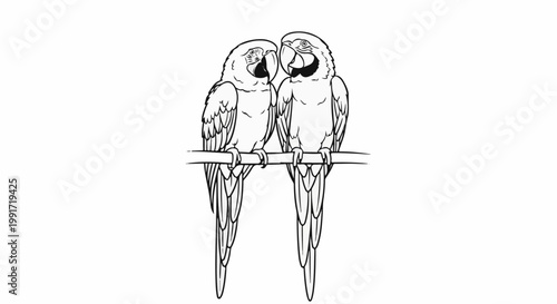 Two macaws perched on a branch, black and white illustration
