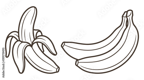 Peeled and unpeeled bananas, fruit illustration, line art.