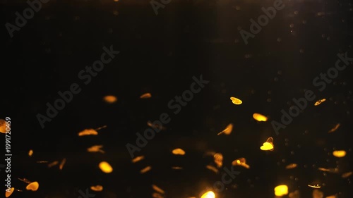 Golden Heart Glitter Rising on Dark Background – Shimmering Romantic Abstract