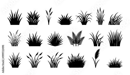 Black grass silhouette collection, 20 botanical meadow plant icons, wild reed and swamp vegetation vector set, minimalist garden foliage elements