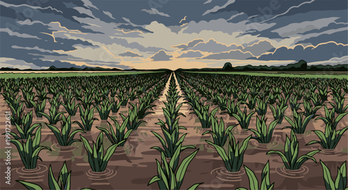 Vast green plantation stretches toward a dusky, cloud-filled horizon