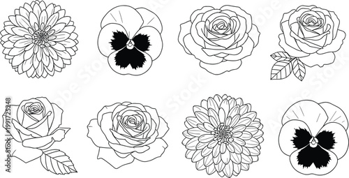 Collection of Outline Flowers including Roses Pansies and Dahlias on White Background