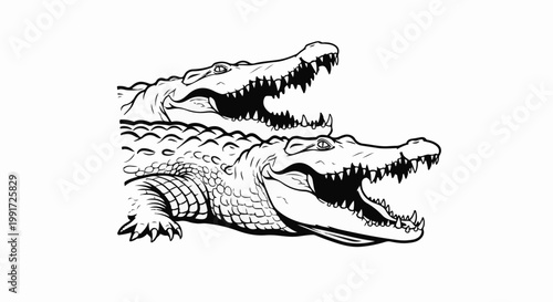 Two fierce crocodiles with open mouths, sharp teeth bared, in black and white
