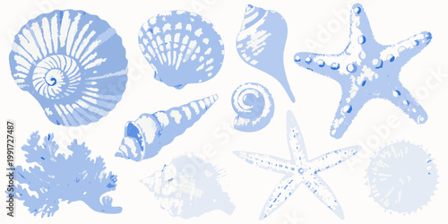 A collection of blue and white illustrated seashells and marine life