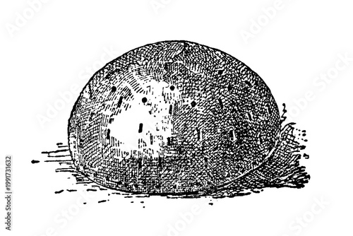 Calotte – Iron infantry skullcap, 16th to 18th century, domed metal headpiece with stippled texture and irregular shading, old vintage illustration, 1895.