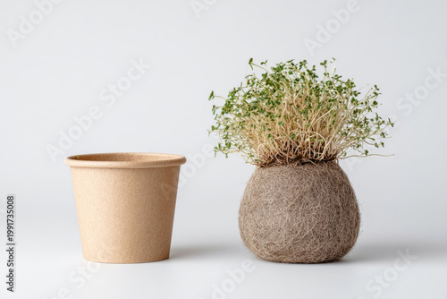 A paper cup and a ball with sprouts on a light background. Space for text.