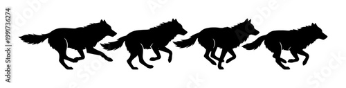Foto Running wolf pack silhouette vector, black wild wolves hunting in a row, predato