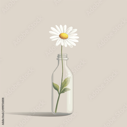 White daisy in a clear glass bottle simple floral still life delicate flower arrangement minimalist aesthetic serene image peaceful scene.