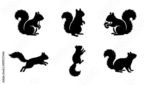 Squirrel silhouette collection, set of 6 black forest animal icons, wild squirrel jumping and eating nut vector graphics, minimalist nature wildlife clipart