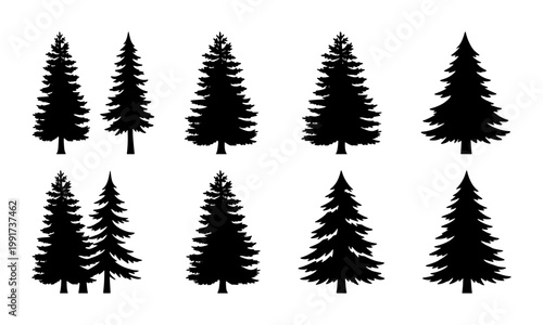 Pine tree silhouette collection, 8 black evergreen conifer vector icons, minimalist forest fir and spruce shapes for outdoor adventure and nature branding