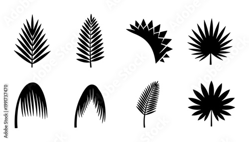 Tropical palm leaf silhouettes, set of 8 black botanical vector icons, minimalist exotic foliage elements for summer branding and logo design