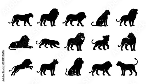 Lion silhouette collection, 15 black vector animal icons. African wildlife predator set, majestic male lion and lioness shapes for logo design