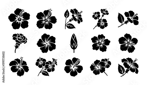 Hibiscus flower black silhouette icons, tropical floral blossom vector set, 15 botanical plant elements for summer vacation branding and logo design