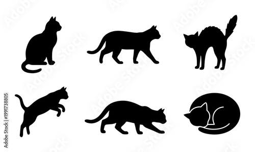 Black cat silhouette collection, set of 6 feline vector icons in various poses, domestic cat silhouettes for pet branding and animal graphics