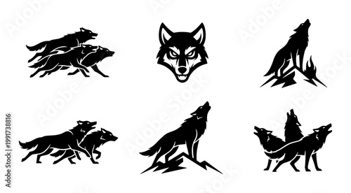 Wolf silhouette vector set, black howling wolf icons on white background, wild animal mascot collection, 6 predatory wolf head and body graphics