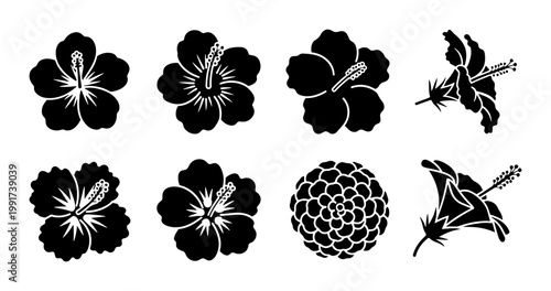 Tropical hibiscus flower silhouettes, set of 8 black floral icons, exotic hawaiian bloom vector elements for summer branding and botanical design