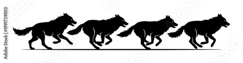 Fotografia Running wolf pack silhouette vector, wild wolves hunting in a row, black animal