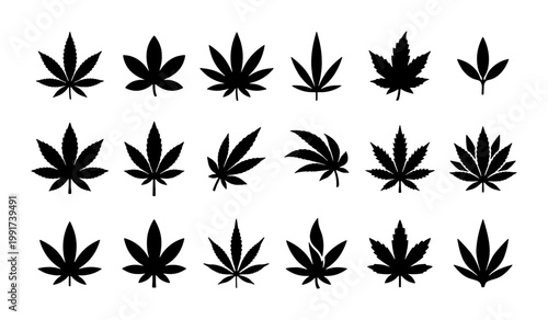 Cannabis leaf silhouettes collection, 18 black marijuana leaf icons, medicinal hemp foliage vector set, botanical weed plant symbols for dispensary branding