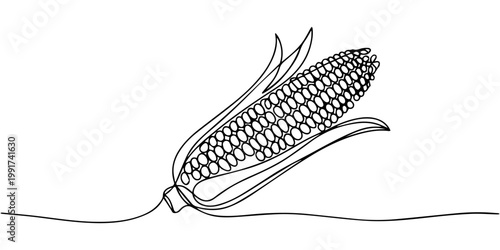 corn cob continuous one line drawing, Continuous one line drawing. Vegetables two corn. Vector illustration, Maize ear in continuous line art style. Single line drawing illustration of vegetarian food