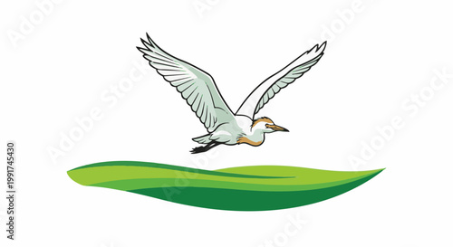 White egret in flight above green wavy fields