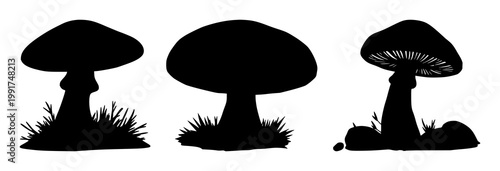 Mushroom set with black silhouette against white background featuring mycelium cap, gilled underside, fungal form with fungi biology and nature