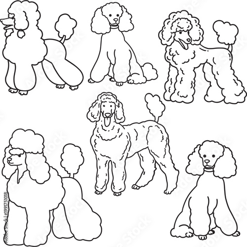 minimalistic simple outline drawing poodle children coloring page social media graphic veterinary clinics, pet salons, exhibitions, grooming, dog products set characters fluffy cute pet sketch doodle