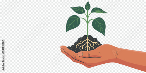 Hand Holding Growing Plant Roots Nature Concept