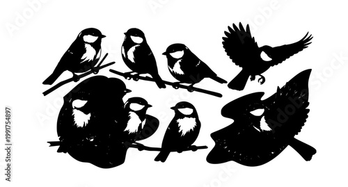 Titmouse bird flying hand drawn vector illustration set isolated on white background