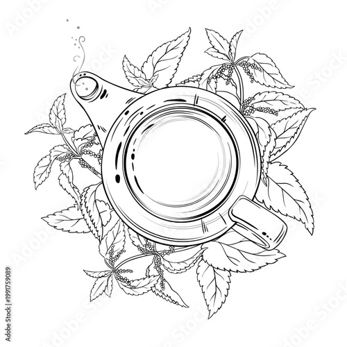 Nettle Tea in Teapot aroma beverage Outline Illustration. Vector isolated for Design and Decoration for Cafeteria, Posters, Banners, Cards.