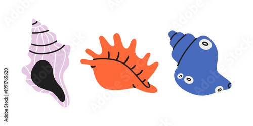Various bright sea shells and marine life elements. Set of ocean treasures, snails and corals. Vector flat ocean illustrations