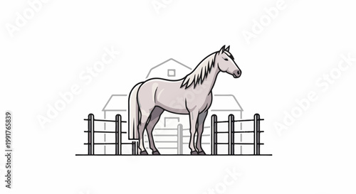 A gray horse stands in a fenced paddock with a barn in the background