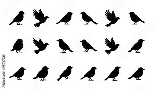 Minimalist bird silhouettes set, 18 black sparrow and songbird icons in flight and perched poses, flat vector wildlife collection for nature design