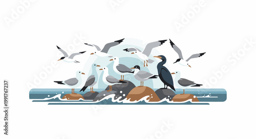 A flock of various seabirds including seagulls and a cormorant gather on rocky outcrops in blue water