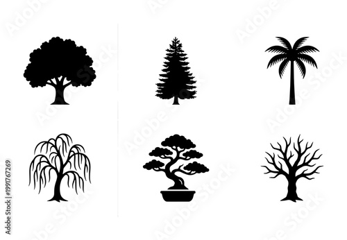 Minimalist black tree silhouettes set, 6 botanical vector icons including palm and bonsai, nature landscape design elements on white background
