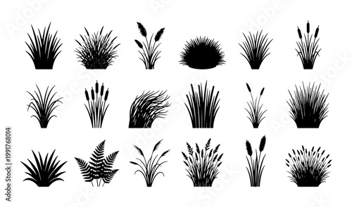 Schilderij op canvas Black grass silhouette collection, 18 marsh plant and cattail vector icons, bota