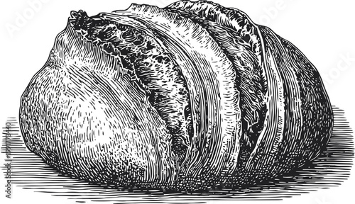 sourdough loaf bread detailed black and white vintage engraving rustic baked crust