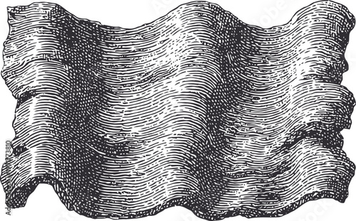 Vintage woodcut illustration of a wavy fabric sheet with detailed texture and shading