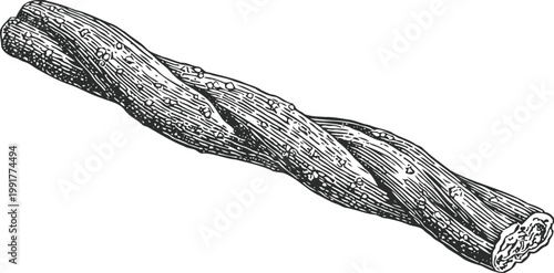 Licorice root twisted stick, natural herbal medicinal plant illustration, organic spice and flavor ingredient