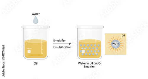 Emulsion, a mixture of two immiscible liquids (oil and water) in beakers, Emulsion  water in oil, Immiscible liquids. Emulsification, emulsifier. isolated on white background. Vector illustration.