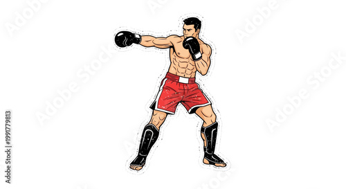 Boxer Punching