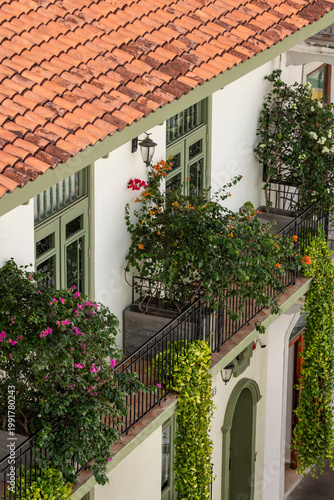 Casco viejo building with vibrant tile roof, green trim and balconies overflowing with bougainvillea and lush foliage, Panama - stock photo