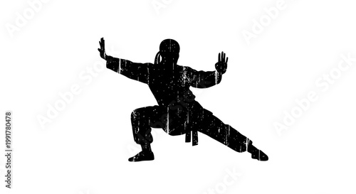 Martial arts silhouette, Kung Fu stance, black on white, vintage texture