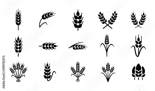 Minimalist wheat ear icons set, 15 black cereal grain silhouettes, organic barley and rye stalks vector, agricultural harvest symbols for bakery branding