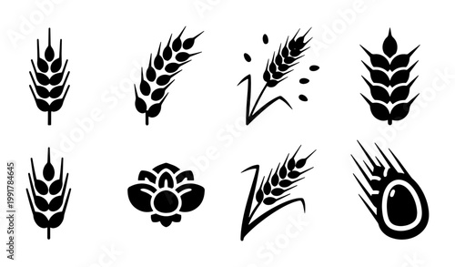 Minimalist wheat ear icons set, black cereal grain stalk silhouettes, organic agriculture symbols for bakery logo and farm branding, 8 vector elements